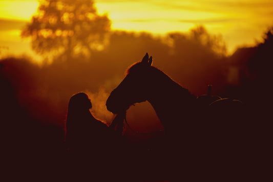 Sunset with woman and her healthy horse with premium horse supplements