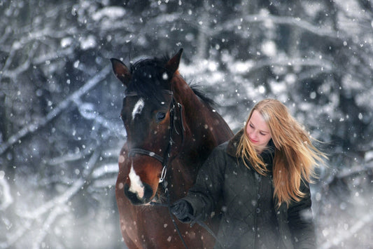 Healthy horse in cold with optimal nutrition