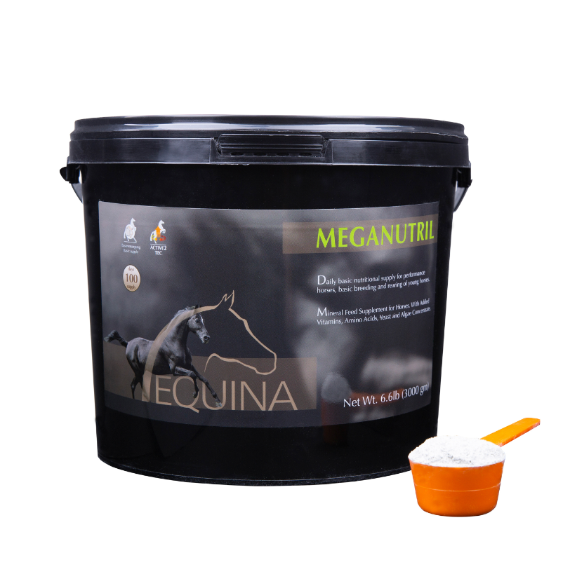 Equina Meganutril an premium organic horse supplement
